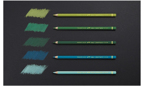 Caran d'Ache Pablo Colour Pencils 30 Assorted Colours