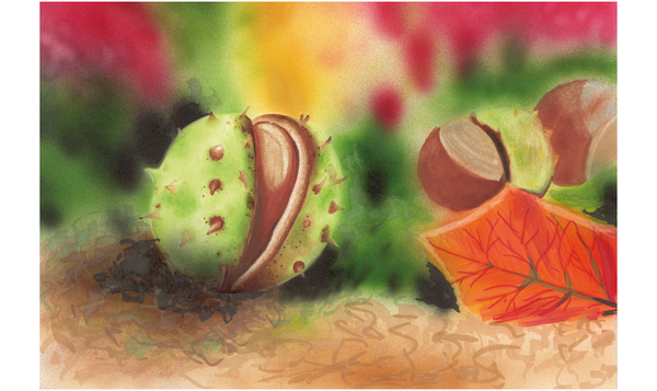 Copic Classic Marker Pen Set of 12 Autumn Colours