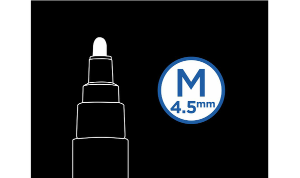 Pilot Pintor Marker Pen Bullet Tip Medium