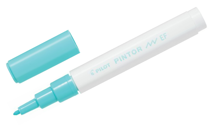 Pilot Pintor Marker Pen Bullet Tip Extra Fine