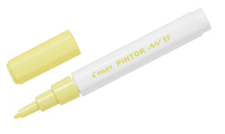 Pilot Pintor Marker Pen Bullet Tip Extra Fine