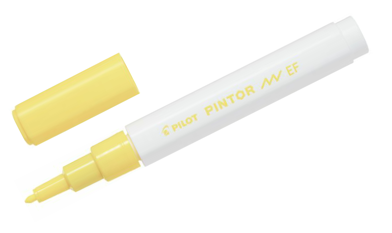 Pilot Pintor Marker Pen Bullet Tip Extra Fine