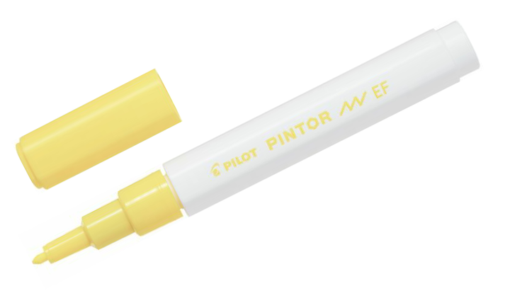 Pilot Pintor Marker Pen Bullet Tip Extra Fine