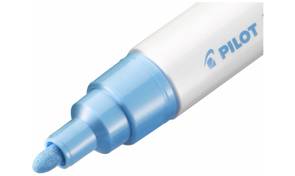Pilot Pintor Marker Pen Bullet Tip Medium