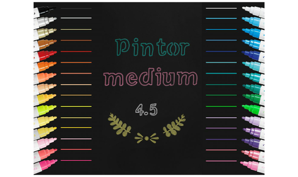 Pilot Pintor Marker Pen Bullet Tip Medium