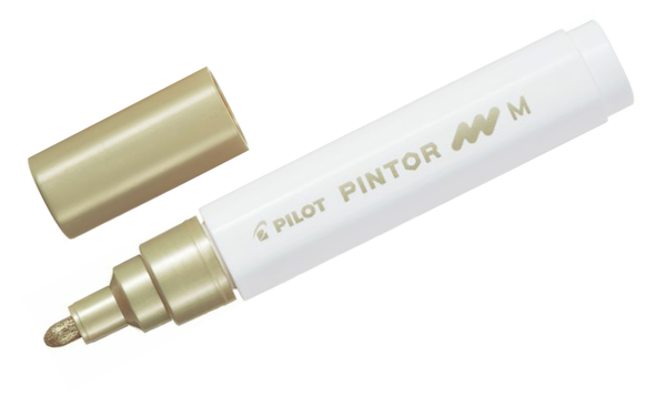 Pilot Pintor Marker Pen Bullet Tip Medium