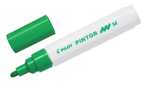 Pilot Pintor Marker Pen Bullet Tip Medium