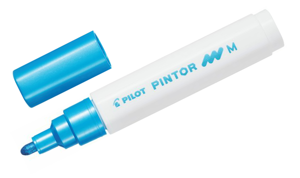 Pilot Pintor Marker Pen Bullet Tip Medium