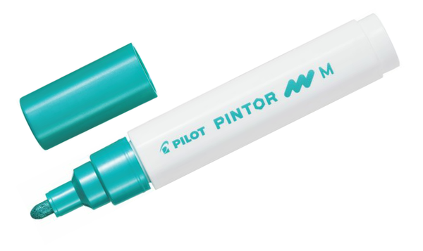 Pilot Pintor Marker Pen Bullet Tip Medium