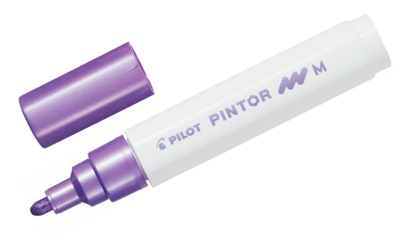 Pilot Pintor Marker Pen Bullet Tip Medium