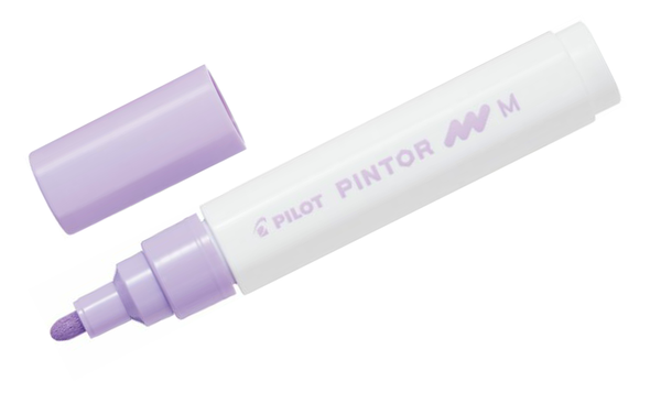 Pilot Pintor Marker Pen Bullet Tip Medium
