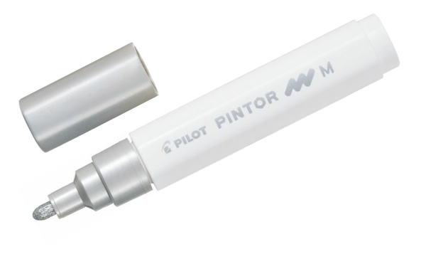Pilot Pintor Marker Pen Bullet Tip Medium