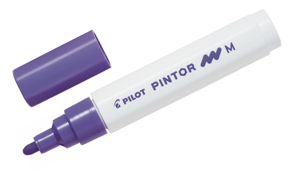 Pilot Pintor Marker Pen Bullet Tip Medium
