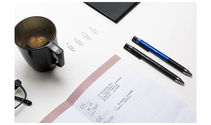 Pilot Synergy Point Retractable Gel Rollerball Pen