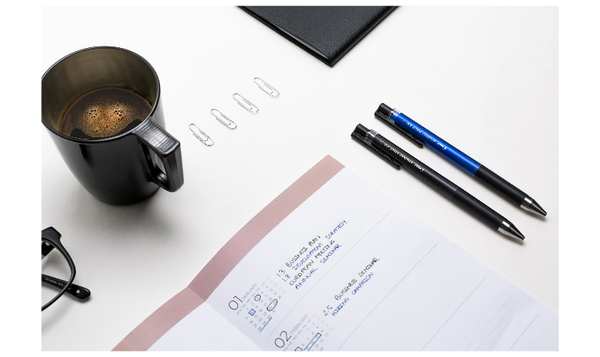 Pilot Synergy Point Retractable Gel Rollerball Pen