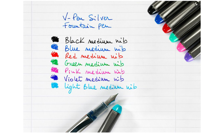 Pilot V-Pen Fountain Pen Silver Barrel