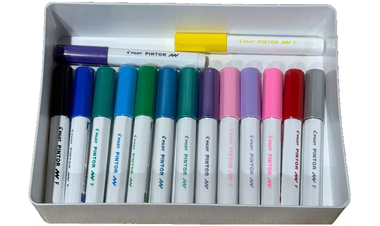 Pilot Pintor Marker Pen Bullet Tip Fine - Assorted Set of 15 - Gift Boxed