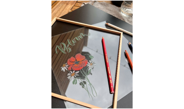 STABILO All - Coloured Pencil - Assorted Pack Sizes and Colours