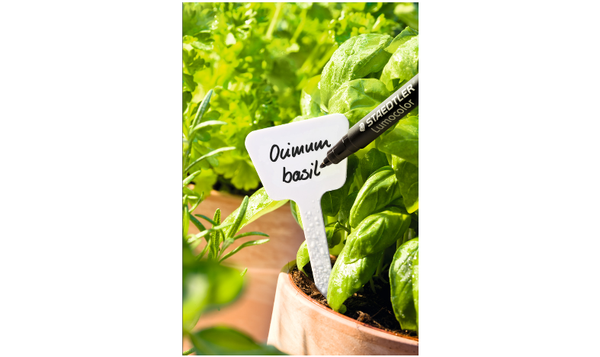 STAEDTLER Lumocolor Permanent Garden Marker Pen